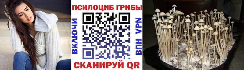 Галлюциногенные грибы Cubensis  Купить  Шимановск 